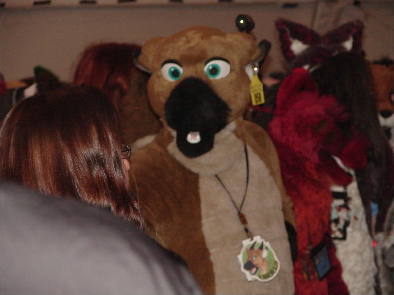 [StuntTiger_MFF07_137.jpg]