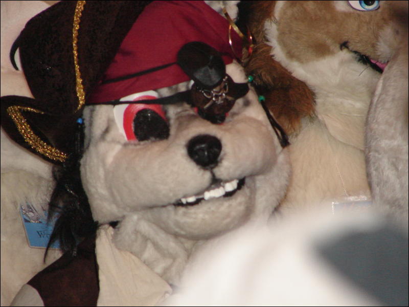 [StuntTiger_MFF07_139.jpg]