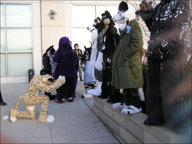 [Arf_MFF2008_36.JPG]