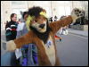 [Arf MFF2008 38]