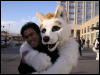 [Arf MFF2008 43]