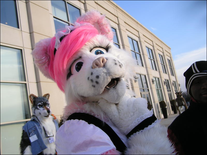 [Arf_MFF2008_46.JPG]