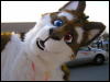 [Arf MFF2008 49]