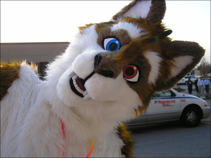 [Arf_MFF2008_49.JPG]