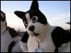 [Arf MFF2008 50]