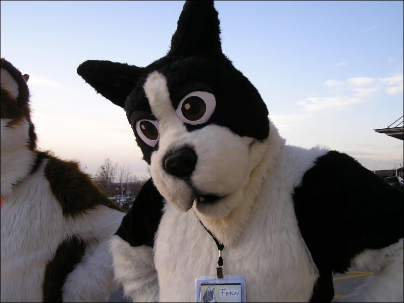 [Arf_MFF2008_50.JPG]