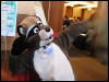 [Arf MFF2008 51]