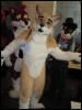 [MacWolf MFF2008 019]