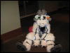 [MacWolf MFF2008 071]