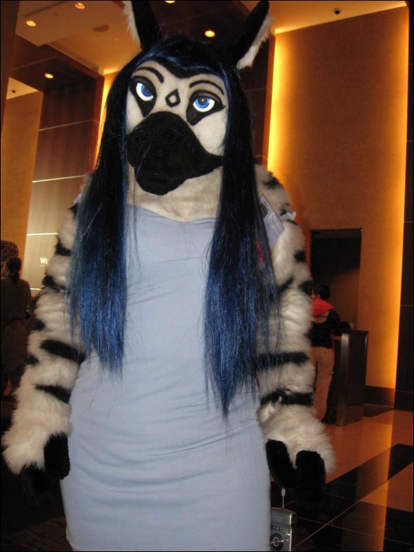 [MacWolf_MFF2008_078.jpg]