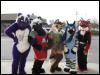 [MacWolf MFF2008 081]