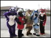 [MacWolf MFF2008 082]