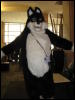 [MacWolf MFF2008 085]