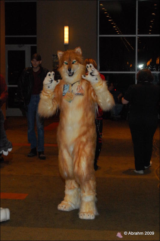 [Abrahm_MFF2009_073.jpg]