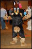 [Abrahm MFF2009 076]