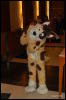 [Abrahm MFF2009 080]