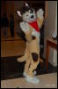 [Abrahm MFF2009 081]