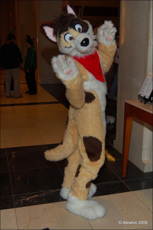 [Abrahm_MFF2009_081.jpg]