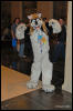 [Abrahm MFF2009 082]