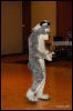 [Abrahm MFF2009 093]