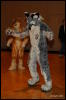 [Abrahm MFF2009 105]