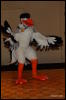 [Abrahm MFF2009 111]