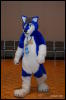 [Abrahm MFF2009 123]