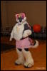 [Abrahm MFF2009 124]