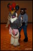 [Abrahm MFF2009 135]