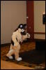 [Abrahm MFF2009 137]