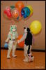 [Abrahm MFF2009 161]