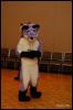 [Abrahm MFF2009 173]