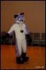 [Abrahm MFF2009 174]