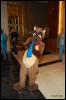 [Abrahm MFF2009 183]