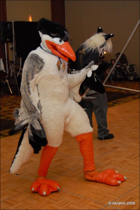 [Abrahm_MFF2009_201.jpg]