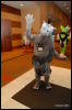 [Abrahm MFF2009 202]