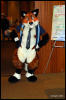 [Abrahm MFF2009 204]