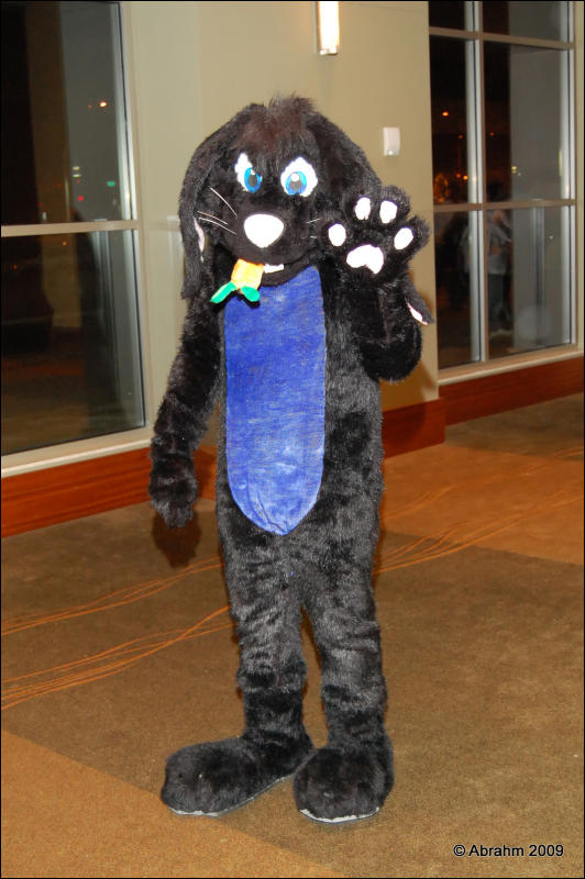 [Abrahm_MFF2009_215.jpg]