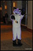 [Abrahm MFF2009 218]