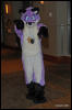 [Abrahm MFF2009 219]