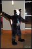 [Abrahm MFF2009 227]