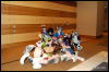 [Abrahm MFF2009 233]