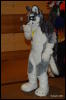 [Abrahm MFF2009 251]