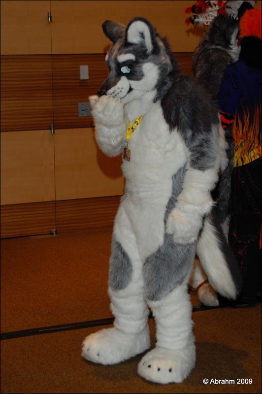 [Abrahm_MFF2009_251.jpg]