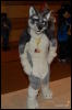 [Abrahm MFF2009 252]