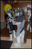 [Abrahm MFF2009 254]