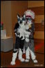 [Abrahm MFF2009 256]