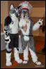 [Abrahm MFF2009 257]