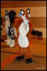 [Abrahm MFF2009 259]