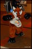 [Abrahm MFF2009 260]